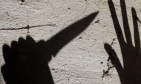 মাদক ব্যবসায়ে বাধা দেওয়ায় মা-ভাইকে কুপিয়ে হত্যা