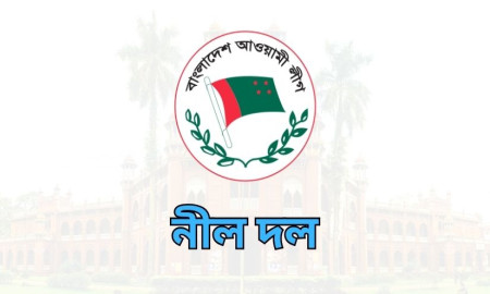 চার প্লাটফর্মে সক্রিয় আওয়ামীপন্থি শিক্ষকদের নীল দলের কার্যক্রম