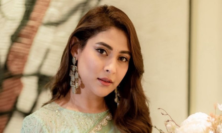 ভাই ও নিজের বিরুদ্ধে হওয়া মামলায় জামিন পেয়ে যা বললেন মেহজাবীন