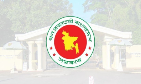 জুলাই সনদের আলোকে গণভোটের ব্যালটে কী প্রশ্ন থাকবে, জানাল সরকার