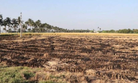 ভাগবাটোয়ারা না হওয়ায় পাবনায় বিএডিসির খড় পুড়িয়ে দেওয়ার অভিযোগ