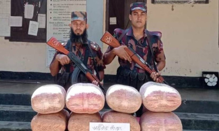 কুড়িগ্রামে বিজিবির অভিযানে সাড়ে ৪১ কেজি গাঁজা জব্দ