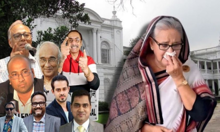 হাসিনার বিরুদ্ধে রায়ে মাহমুদুর রহমান, পিনাকীসহ নাম আছে যাদের