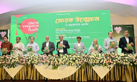 দেশে গণতন্ত্র প্রতিষ্ঠা করতে হলে মব ভায়োলেন্স থেকে সরে আসতে হবে: মির্জা ফখরুল 