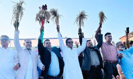 নবীনগরে এক মঞ্চে বিএনপির ৭ মনোনয়নপ্রত্যাশী