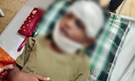 সড়ক দুর্ঘটনায় আহত মায়ের মৃত্যু, আইসিইউতে দুই ছেলে