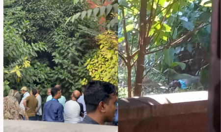 ইস্ট ওয়েস্ট ইউনিভার্সিটির পাশে অজ্ঞাত ব্যক্তির মরদেহ উদ্ধার