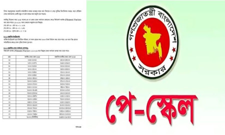 পে স্কেলের ১৫ পৃষ্ঠার সুপারিশ ভেসে বেড়াচ্ছে ফেসবুকে, ভুয়া বলছে কমিশন