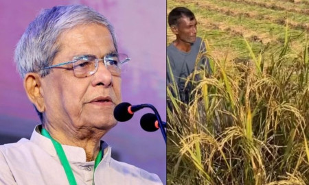 খাল পুনঃখননে জোর দিচ্ছে বিএনপি, কৃষকদের নিয়ে মির্জা ফখরুলের স্ট্যাটাস