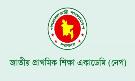 ডিপ্লোমা ইন প্রাইমারি এডুকেশন প্রোগ্রামে ভর্তি বিজ্ঞপ্তি প্রকাশ