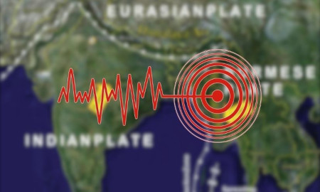 কোন অঞ্চল ঝুঁকিতে, পূর্বাভাস কি পাওয়া সম্ভব—ভূমিকম্প নিয়ে গুগলে যত প্রশ্নের উত্তর খুঁজছে মানুষ