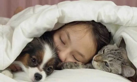 কেউ প্রাণীর সাথে, কেউবা নগ্ন হয়ে, বিশ্বের বিভিন্ন দেশে ঘুমের স্টাইল