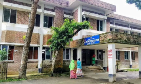 শিয়ালের কামড়ে শিশুসহ আহত ১০