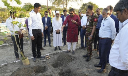 দিয়াবাড়িতে দেশের সর্ববৃহৎ মিয়াওয়াকি বনের উদ্বোধন