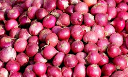 বাংলাদেশে পেঁয়াজ রপ্তানি বন্ধে ধরাসায়ী ভারতীয় ব্যবসায়ীরা, ১ কেজি পেঁয়াজ ২ টাকা!