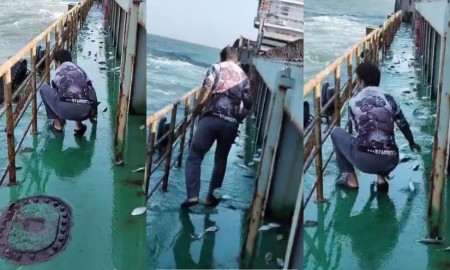 জাহাজের ডেকে ঝাঁকে ঝাঁকে উঠে এলো ইলিশ!