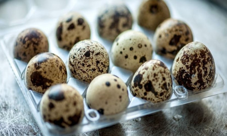 ছোট ‘সুপারফুড’ কোয়েলের ডিমে যত উপকার, খাবেন না কারা