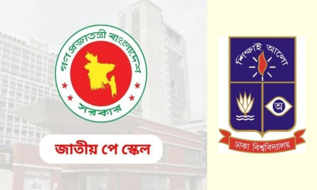 ‘জানুয়ারি থেকে পে স্কেলের বাস্তবায়ন দেখতে চাই’