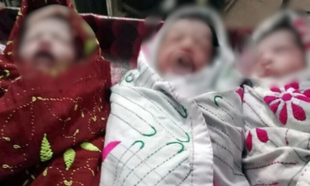 ঝালকাঠিতে একইসঙ্গে তিন নবজাতকের জন্ম, সুস্থ মা–শিশু