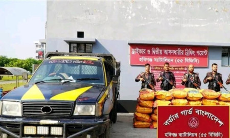 বিজিবি অভিযানে ১৭ লাখ টাকার ভারতীয় জিরা উদ্ধার