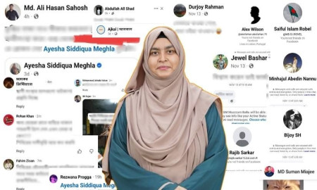 ১৬ স্ক্রিনশট দিয়ে মেঘলা লিখলেন— ‘এদের কোনো সন্তান না হোক, হলে বাপ-মায়ের মতোই স্লাটশেমিং করবে’