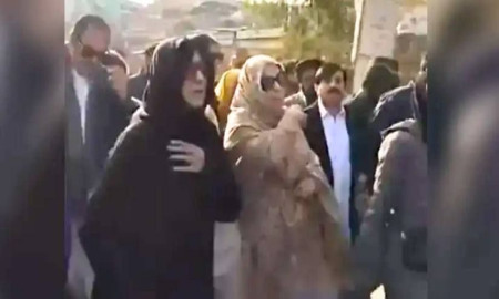 অবশেষে ইমরান খানের সঙ্গে সাক্ষাৎ বোন উজমার