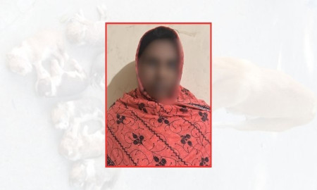 আট কুকুরছানা হত্যার ঘটনায় সেই সরকারি কর্মকর্তার স্ত্রী গ্রেপ্তার
