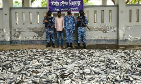 যাত্রীবাহী বাস থেকে ১২০০ কেজি জাটকা জব্দ