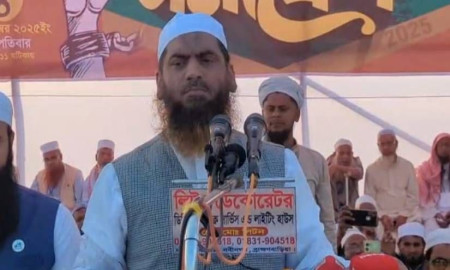 দেশের ভাগ্য পরিবর্তন করতে বড় রাজনৈতিক দল লাগে না: মামুনুল হক