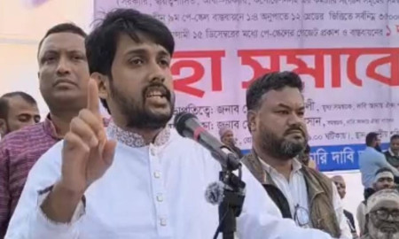 সরকারি চাকরিজীবীদের যথাযথ বেতন দেয়ার আহ্বান এনসিপি নেতার