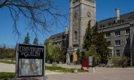 স্কলারশিপ নিয়ে স্নাতক করুন কানাডার ইউনিভার্সিটি অব গুয়েলফে 