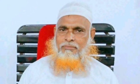 বিদ্রোহী প্রার্থী হওয়ায় ইসলামী আন্দোলন থেকে স্থায়ী বহিষ্কার মুফতি হাবিব