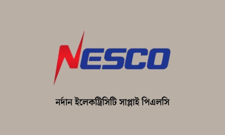 নর্দান ইলেকট্রিসিটি সাপ্লাই পিএলসিতে বড় নিয়োগ, পদ ১৩৭, আবেদন অনলাইনে