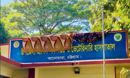 চট্টগ্রামের আনোয়ারায় প্রাণিসম্পদ হাসপাতালে চুরি, ঢেকে রাখা হলো সাইনবোর্ড 