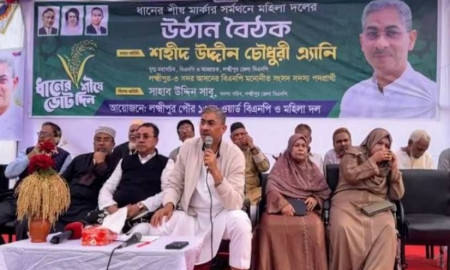 ইসলামী দলের প্রার্থী ফ্যাসিবাদী হাসিনার মতো করে কথা বলেন: এ্যানি