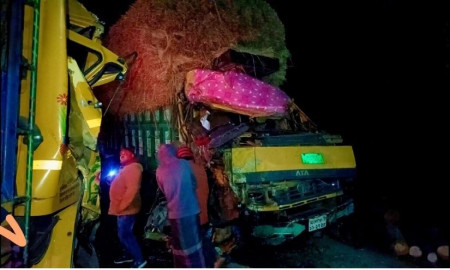 দুই ট্রাকের মুখোমুখি সংঘর্ষে চালক নিহত