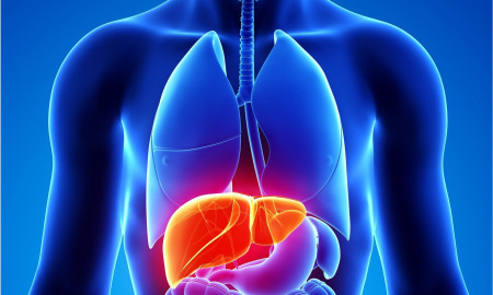 ফ্যাটি লিভারের চেয়েও বিপদ বেশি সিরোসিসে, রোগটি কী?