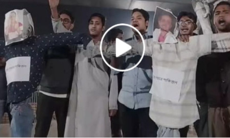 ঢাকা বিশ্ববিদ্যালয়ে পিনাকী-ইলিয়াসের কুশপুত্তলিকা দাহ, জুতাপেটা (ভিডিও)