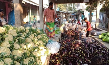 আগাম শীতকালীন সবজি চাষে কৃষকের মুখে হাসি