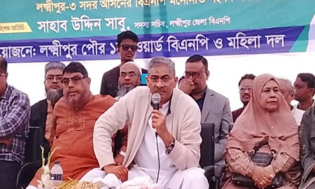 নারীর ক্ষমতায়ন ও অর্থনৈতিক সুযোগ বাড়াতে বিএনপি প্রতিশ্রুতিবদ্ধ: এ্যানি