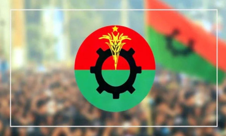 বুদ্ধিজীবী দিবস ও বিজয় দিবসে বিএনপির দুই দিনের কর্মসূচি