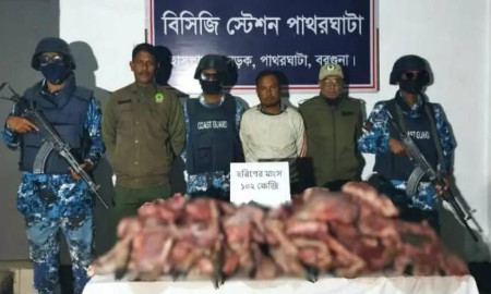 বরগুনায় ১০২ কেজি হরিণের মাংসসহ শিকারি আটক