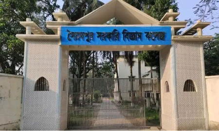 ২০২১ থেকে ২০২৫—পাঁচ বছরে একই কলেজ থেকে মেডিকেলে চান্স ২২৫ শিক্ষার্থীর