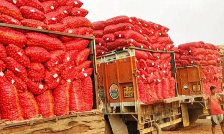 তিন মাস পর বেনাপোল দিয়ে ভারতীয় পেঁয়াজ আমদানি শুরু