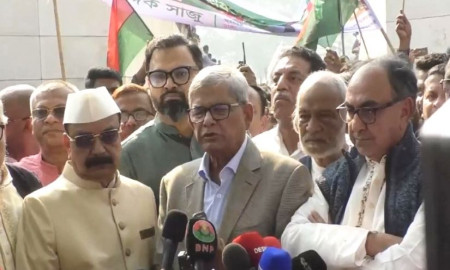 স্বাধীনতার শত্রুরা আবার মাথাচাড়া দিয়ে উঠতে চায়: মির্জা ফখরুল