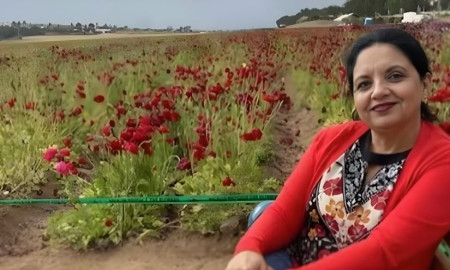 গ্রিন কার্ডের সাক্ষাৎকার দিতে গিয়ে ভারতীয় নারী আটক