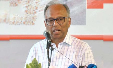 সিদ্ধান্ত নিয়েছি, সরকারের কাছ থেকে কোনো নিরাপত্তা নেব না: মাহমুদুর রহমান