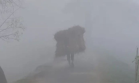 কু‌ড়িগ্রামে দেখা নেই সূর্যের, ঠান্ডায় বিপর্যস্ত জনজীবন