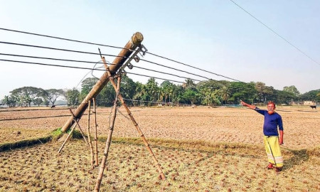 পিডিবির বিদ্যুতের খুঁটি ৬ মাস ধরে হেলে পড়ে আছে ফসলী জমির উপর