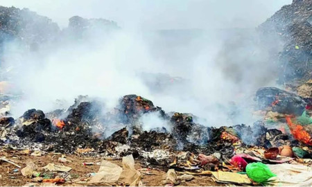 বর্জ্য পোড়ানোর ছবি পাঠালে পুরস্কার দেবে সরকার